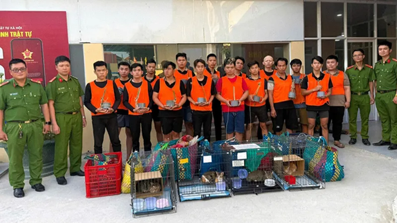 Capturan a banda que robó más de 2 mil gatos