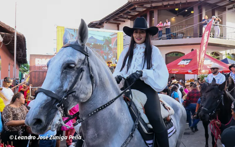 Miles disfrutan del tradicional desfile hípico en Granada