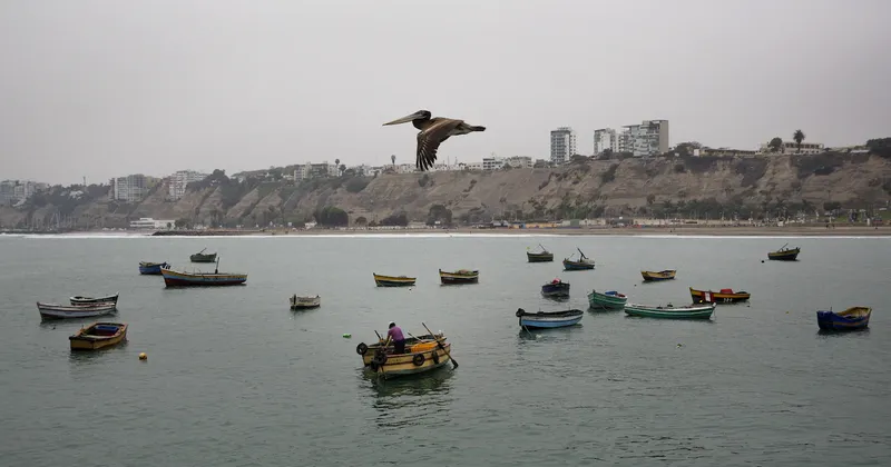 Perú prolonga suspensión de la pesca de anchoveta ante riesgos por el fenómeno El Niño