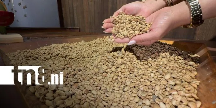 China impulsa la demanda de café de alta calidad