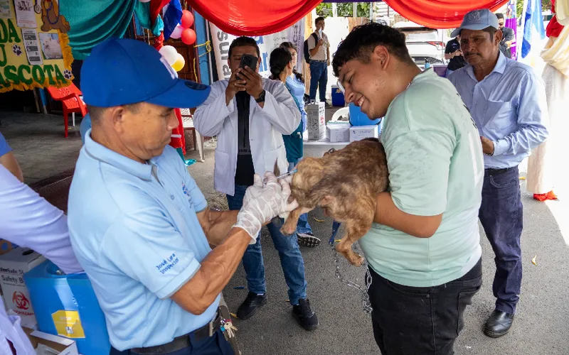 Aplican vacuna antirrábica a mascotas en el barrio Las Torres