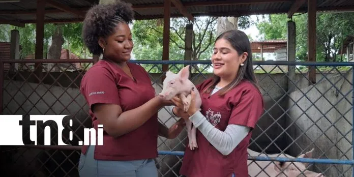 Estudiantes de veterinaria celebran su día con muchas actividades prácticas