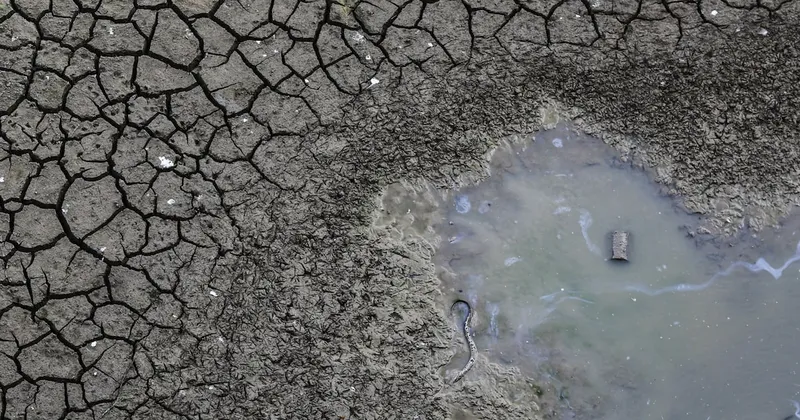 El Niño eleva el riesgo para las tasas de interés en América Latina: los países más expuestos