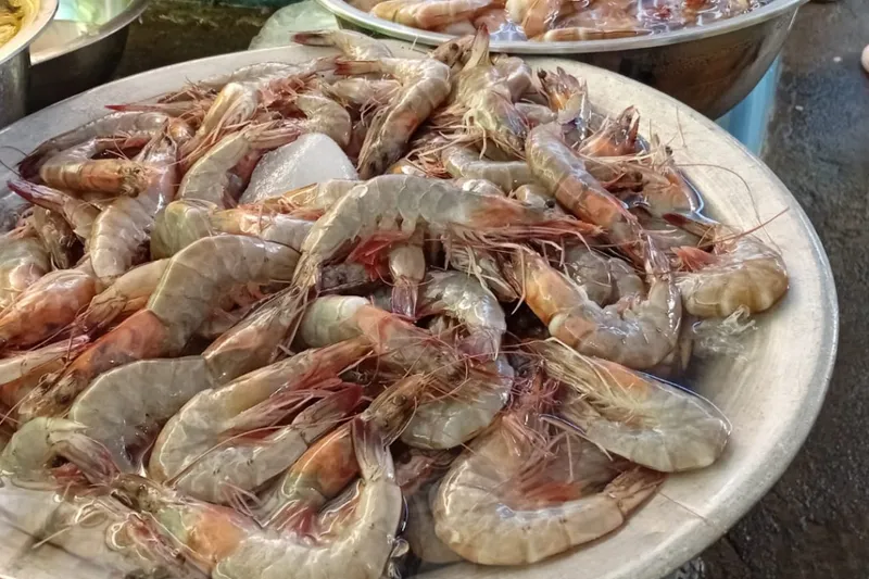 Productos del mar con buen abastecimiento en el mercado Israel Lewites