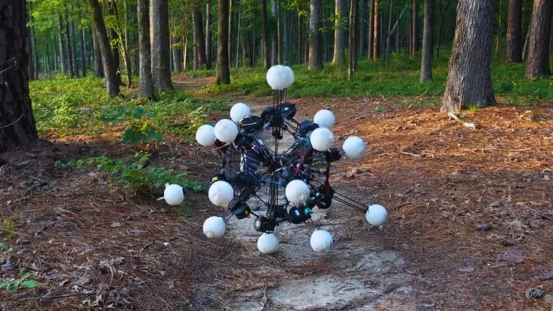 La forma ideal de un robot podría parecerse menos a un humano y más a un erizo de mar con 20 patas. Un estudio muestra que la simetría dinámica puede hacerlo más ágil, resistente y capaz de moverse en cualquier dirección