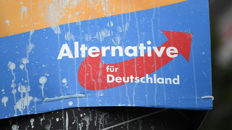"Su 'extremismo' es una actitud leal hacia Rusia": germanista califica el discurso de Steinmeier de "campaña sucia" contra rivales