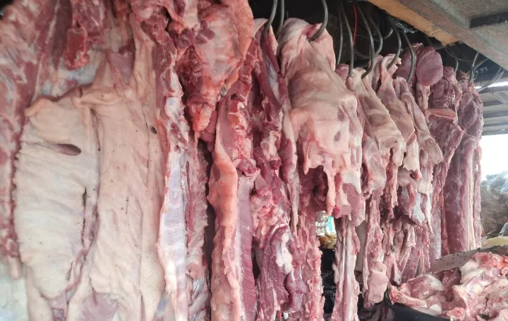 Producción de carne de cerdo alcanza 19.8 millones de libras entre enero y agosto de 2026