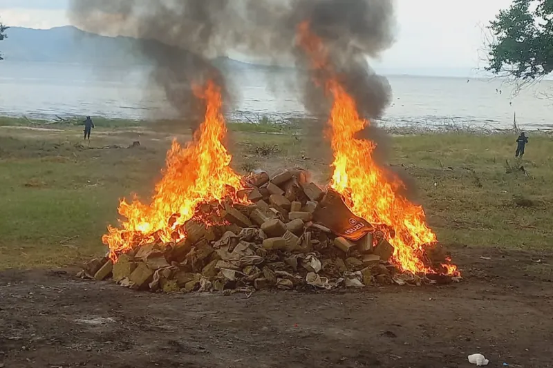 Incineran 1.9 toneladas de marihuana en Chinandega