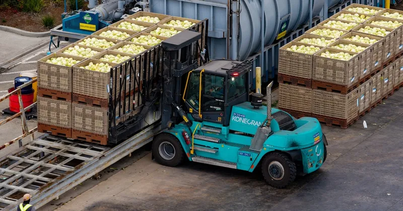 Taylor Farms suspenderá envíos de lechuga mexicana a EE.UU. el próximo verano