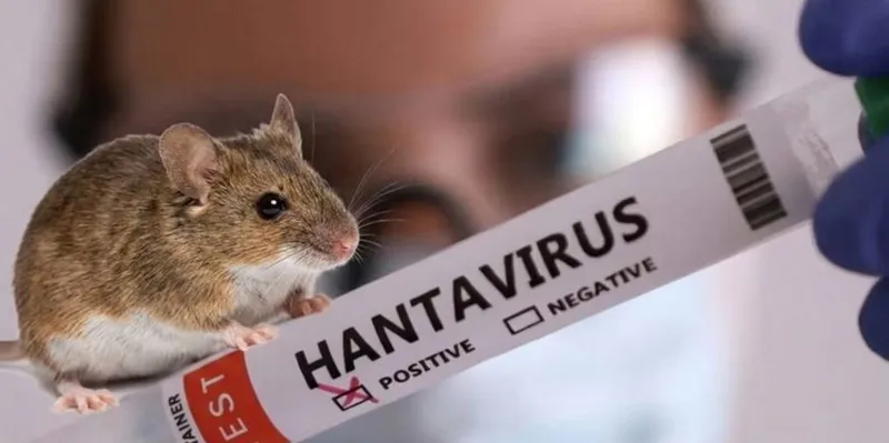 Hantavirus en Argentina: suman 45 casos confirmados en 2026
