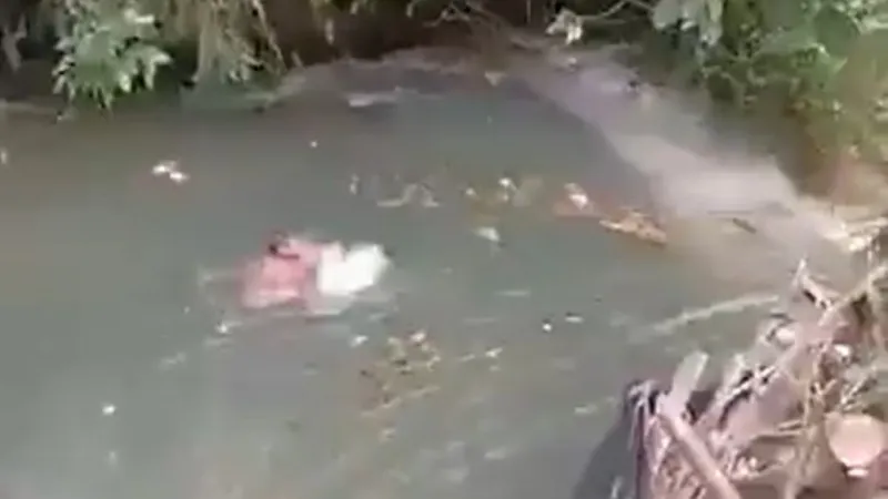 De la diversión al pánico en segundos: una represa artesanal cede y arrastra a un hombre (VIDEO)