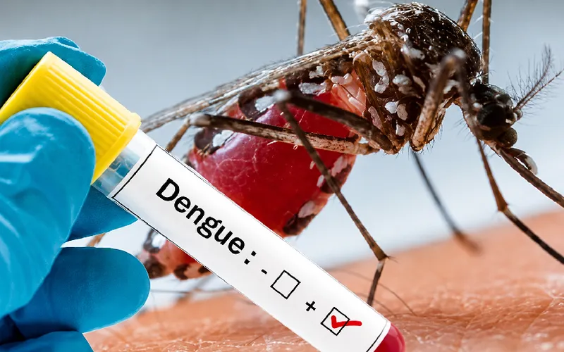 Epidemiología al sábado 27 de junio