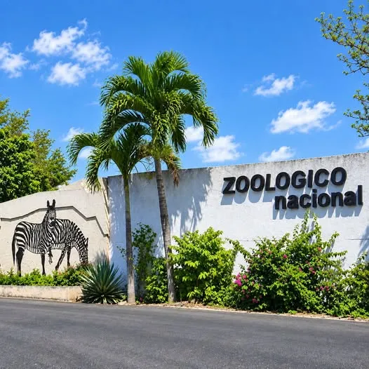 Zoológico Nacional reabrirá sus puertas el próximo 16 de septiembre