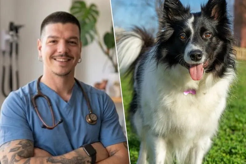 Adrián Conde, veterinario: "No recomiendo tener un Border Collie en casa con niños, porque es un perro de trabajo y si no le damos las necesidades adecuadas se puede estresar"