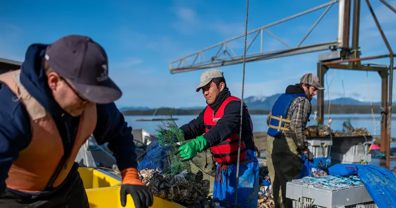 Canadá retira los pescados y mariscos de sus aranceles a Estados Unidos tras recibir comentarios