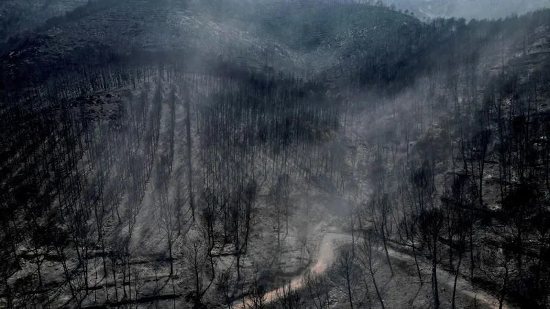 España se solidariza con Francia ante los incendios forestales