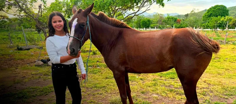 Familia boaqueña denuncia destazamiento de 5 caballos, entre ellos, dos que participaban en competencias deportivas