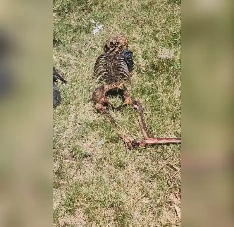 Osamenta encontrada en El Jícaro era de señor asesinado al calor del licor