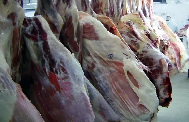 Producción de carne bovina superó las 213 millones de libras en junio
