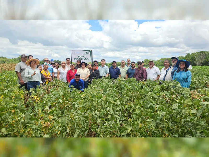 Tecnologías para soya