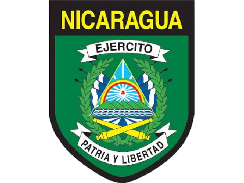 Ejército de Nicaragua destruye plantío de marihuana en Siuna