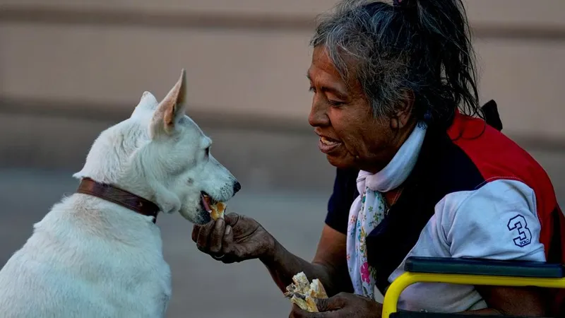 Una relación que está cambiando: México se convierte en un país con más mascotas y menos niños