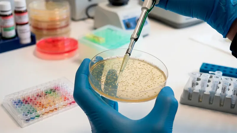 Podrás comer todo lo que quieras: descubren cómo acabar con las intoxicaciones alimentarias atacando la bacteria