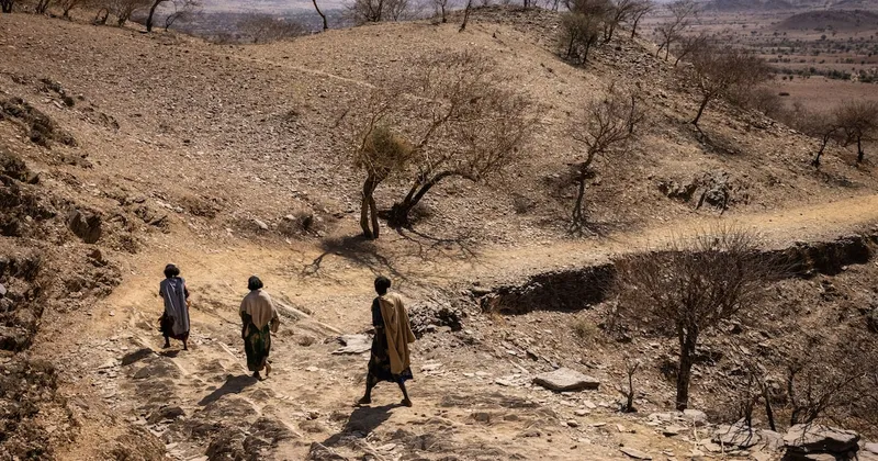 El Niño lleva a T. Rowe a proteger una cartera de US$165.000 millones en activos emergentes