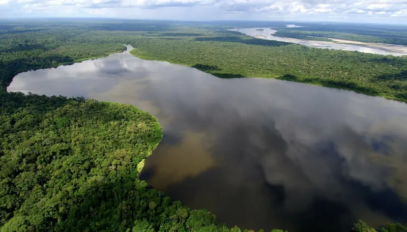Lula crea cuatro reservas en la Amazonía ante la presión de la BR-319