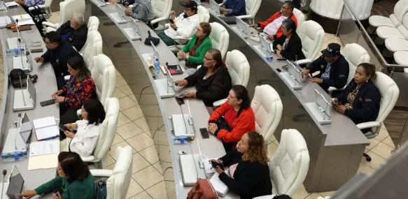 ELEVAMOS A RANGO CONSTITUCIONAL FIGURA DE “DESIGNADOS PRESIDENCIALES”