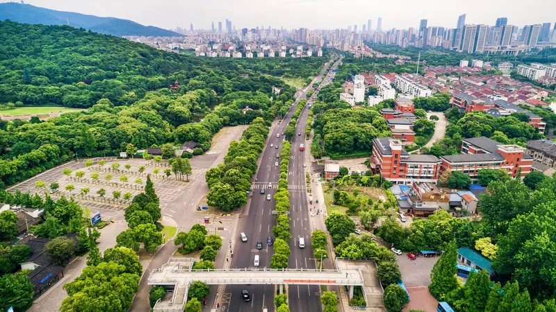 China da una lección tras evitar 262.000 muertes prematuras en 13 años gracias a su política de vehículos eléctricos