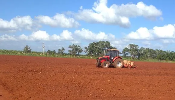 La recuperación agrícola de los campos cubanos