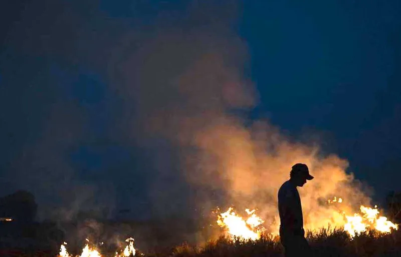 Brasil despliega bomberos y aeronaves ante sospechas de incendios organizados en la Amazonía