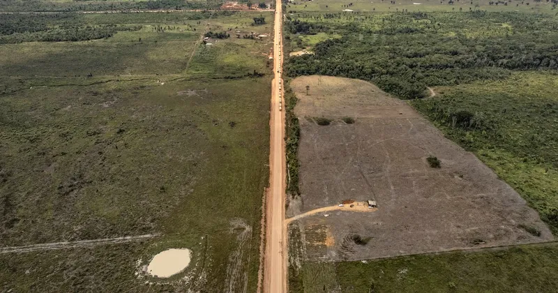 Carretera de 885 km en la Amazonía pone en juego el futuro climático de Brasil en las elecciones