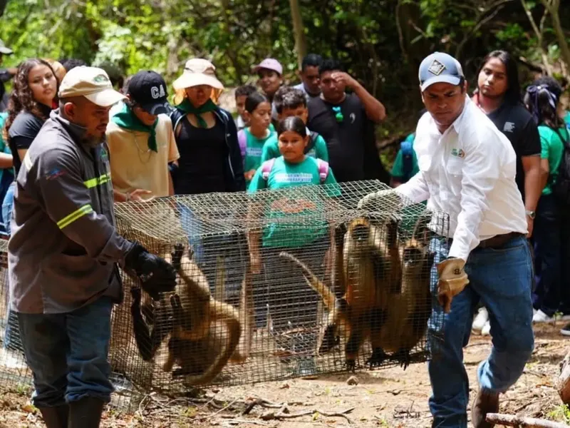MARENA devuelve a su hábitat a 62 especímenes en el Refugio Escalante – Chacocente