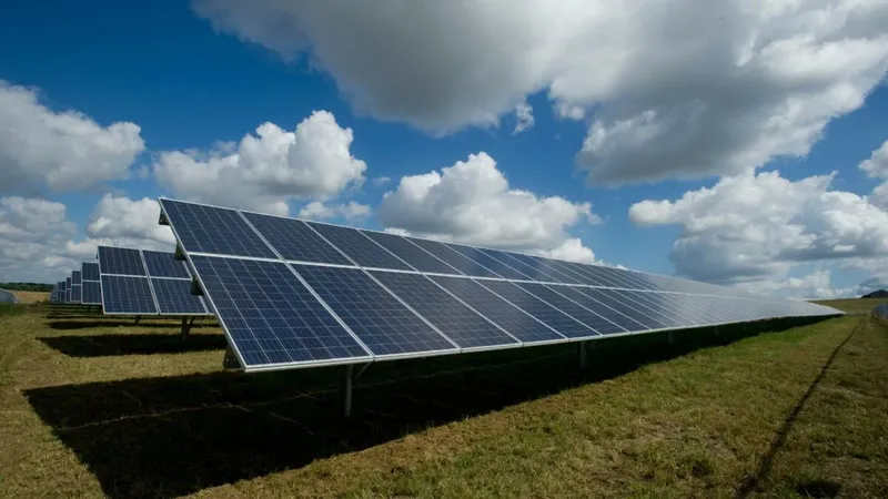 Mendoza avanza con el parque solar más grande de Argentina: casi un millón de paneles bifaciales adelantarían en años una meta prevista para 2030