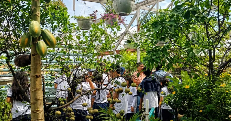 Premios Verdes 2026: la granja en el techo de una casa colombiana que busca acercar la biodiversidad a la ciudad