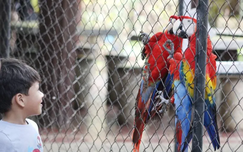Nicaragüenses disfrutan de un reencuentro con la fauna en el Parque Zoológico Nacional