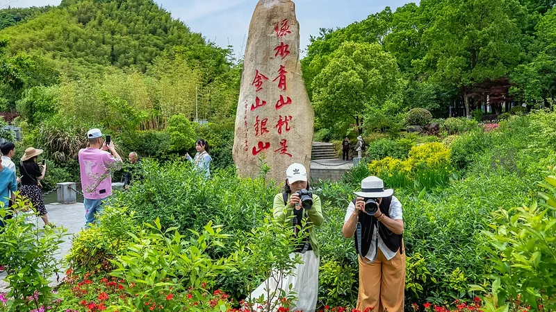 Más verde en la Tierra: ¿por qué una cuarta parte del nuevo reverdecimiento global proviene de China?