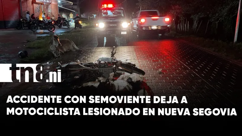 Motociclista resulta lesionado tras impactar contra una vaca en Jalapa, Nueva Segovia