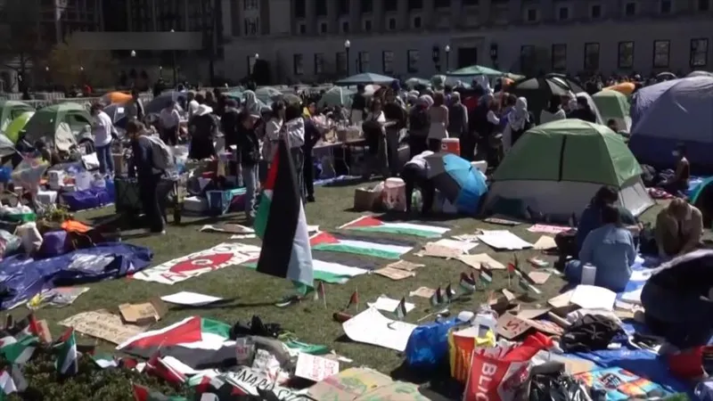 Desde Panamá, expertos de EEUU abordan represión contra solidaridad con Palestina