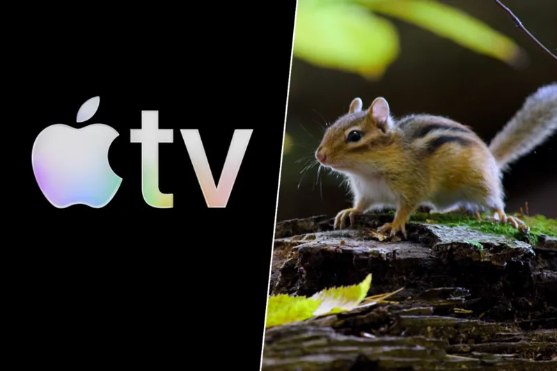 La serie que te hace sentir que el mundo es enorme mirando lo más pequeño. Y solo está en Apple TV