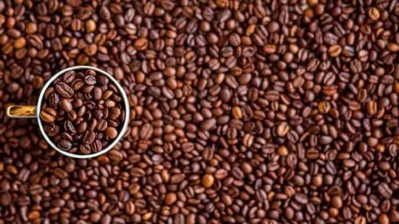 Fedeagro cuestiona la Ley del Café por falta de un mecanismo de financiamiento