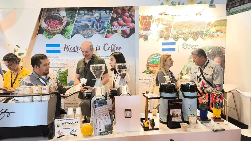 Nicaragua consolida la venta de 45 contenedores de café verde en feria mundial de Bruselas