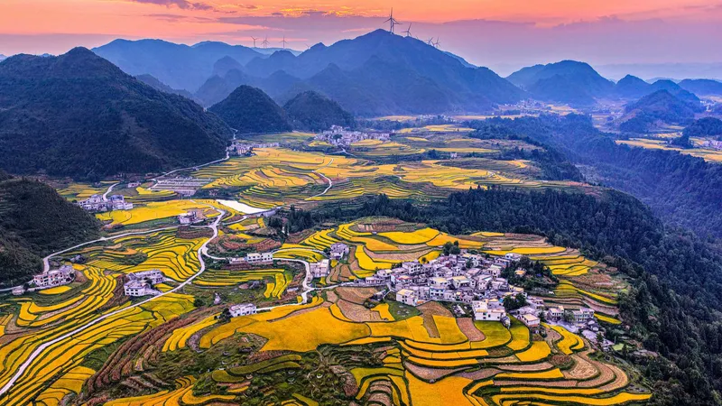 Huellas doradas de la tierra: paisajes otoñales de cosecha en las terrazas de China