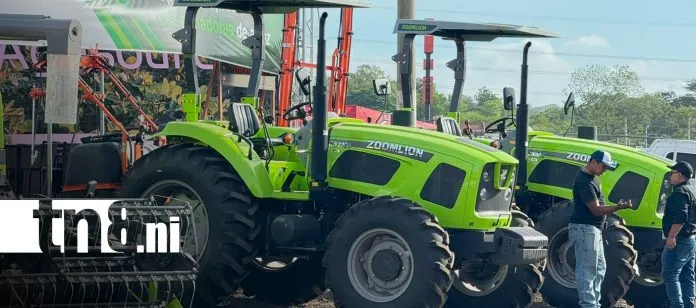 Así abre sus puertas la feria ganadera agostina internacional desarrollada en Managua