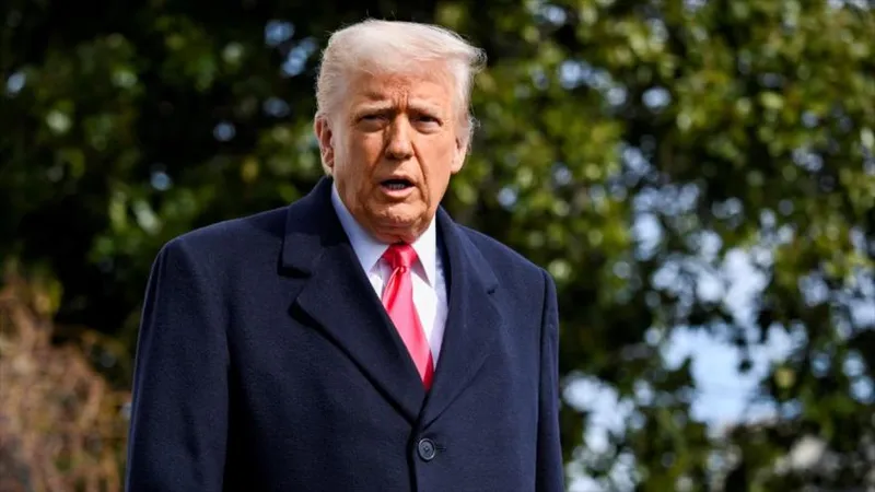 Brasil pide investigar posible injerencia de Trump en elecciones del país