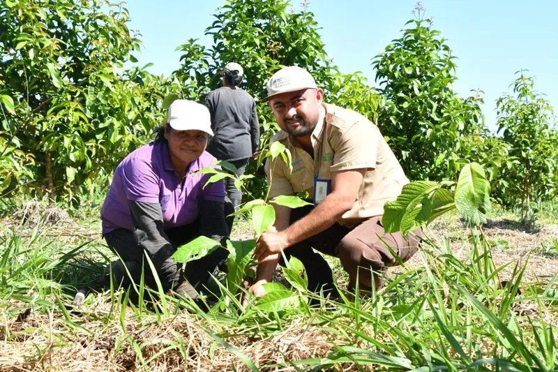 Campaña «Verde, que te quiero verde» impulsa nuevas jornadas de reforestación en la Costa Caribe Sur.