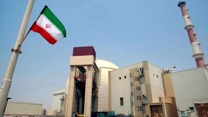Jefe de OEAI: Unidades 2 y 3 de la central nuclear Bushehr están en construcción