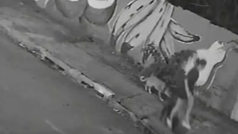 VIDEO: Pasea con su perro y 'se la traga la tierra'